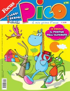 pico small