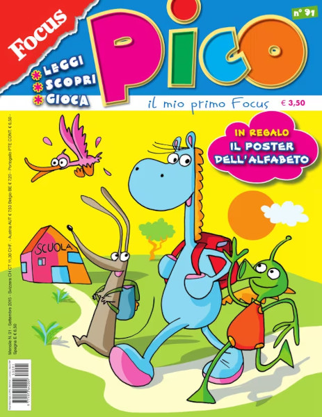 pico small