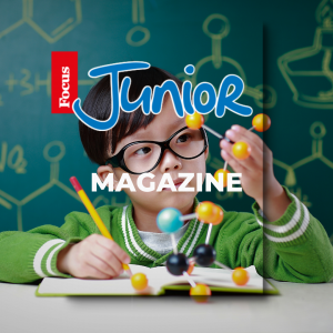 focus jr (2)