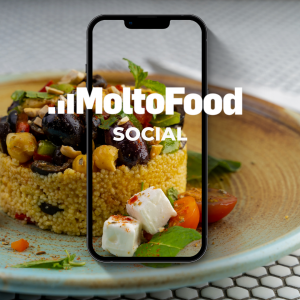 molto food (1)
