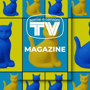 tvsc (2)
