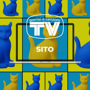 tvsc (3)